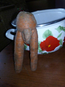 Нескромный урожай, г. Шимановск.