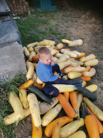 «Убойные кабачки», с. Черняево