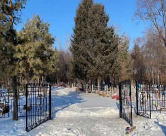 Село Николаевка Тамбовского МО