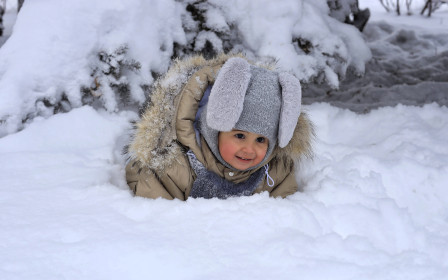 Белла. Дочь моих соседей