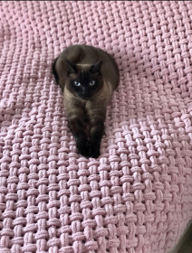 Малыш, 8 лет, 8 кг