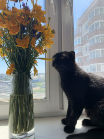 Красотка Боня. 3 года