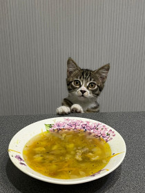 Маркиза, 4 месяца