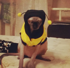 Джозефина, 8 лет, г. Благовещенск