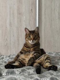 Стасик, 4 года, 5 кг. г. Благовещенск