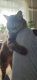 Маргарита Оксановна, 14 лет. г. Тында