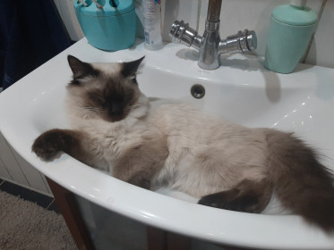 Тимоша, 6 месяцев