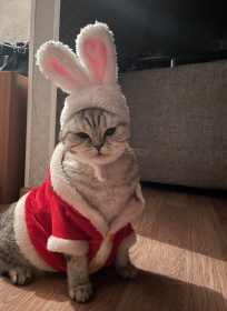 Стефи, 2,5 года