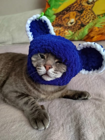 Саймон, 3 года. г. Благовещенск