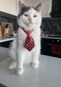 Ричард, 8 мес., 4,5 кг. г. Благовещенск