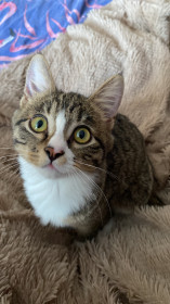 Марс, 6 месяцев. с. Екатеринославка