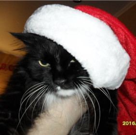 Тарантино, 8 месяцев