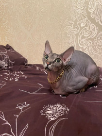 Мия, 1 годик. г. Циолковский