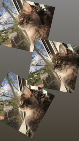 Серый, 3 года. с. Екатеринославка