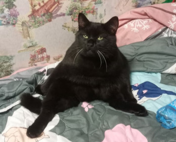 Филя. 10 мес. г. Белогорск