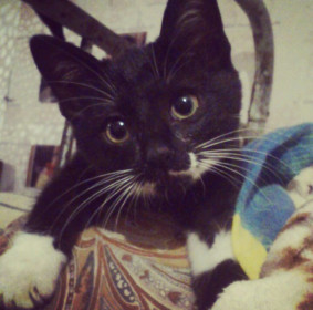 Васюся, 10 лет. с. Екатеринославка