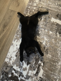 Ночь, 2 года. г. Благовещенск