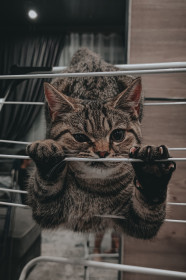 Валерий, г. Тында, 1 год