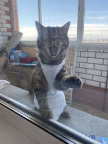 Мира, 1,6 лет, г. Благовещенск