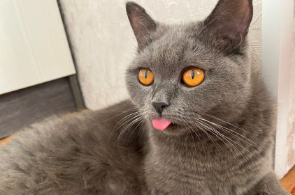 Люся, 2 года. с. Соловьевск