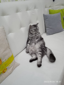 Бося: на чиле, на расслабоне