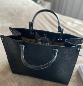 Чера, 1,5 года, 2,5 кг.  г. Благовещенск