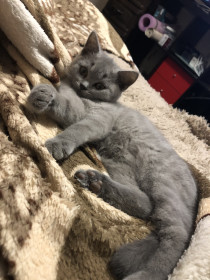 Шура. 8 месяцев. г.Благовещенск