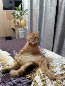 Пётр Андреевич, 5 лет