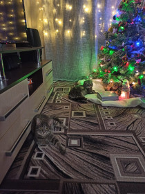 Кубик и Козя, 4 месяца 3 года