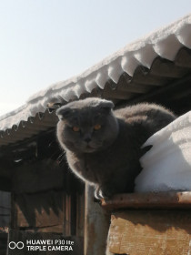 Тимофей, 9 лет, г. Райчихинск