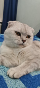 Муська, 2 года. с. Константиновка