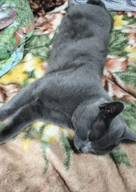 Василий, 2 года. с. Малиновка Бурейского округа