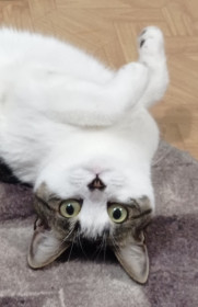 Маня, 3 года, г. Шимановск