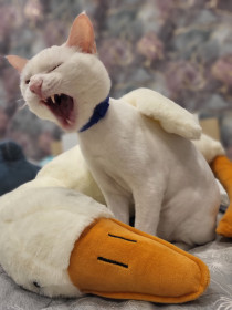 Кекс, 2 года, 4,5 кг, с. Чигири