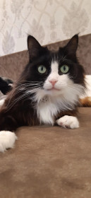 Фанечка, 4,5 года, г. Благовещенск