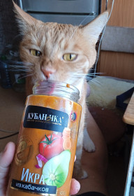 Жожик, 5 лет. г. Благовещенск