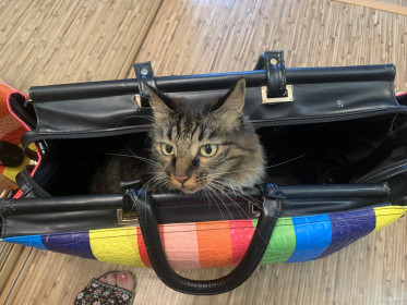 Евгения, 3,5 года,  г. Белогорск