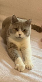 Ульяна, 3 года, г. Циолковский