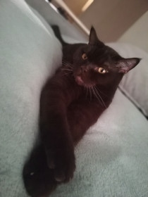 Капризный Изюм, 7 лет, Циолковский