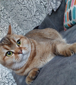 Марк, 1 год, 6 кг, пгт Уруша