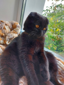 Лия, 1 год, с.Томичи