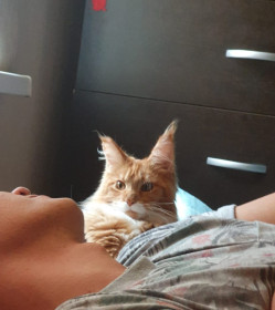 Фрося, 2 года