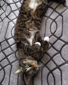 Циля, 8 лет, г. Благовещенск