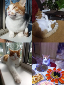 Гриша, 11 лет, г. Благовещенск