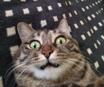 Манька, 8 лет, г. Шимановск