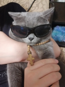 Ник, 4 года, г. Завитинск