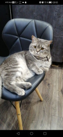 Кокос, 2 года