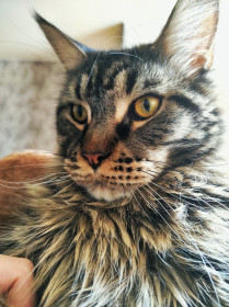 Ричард, 2 года