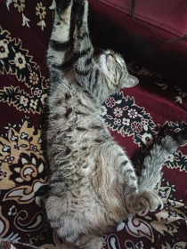 Василий, Вася, 1,5 года