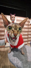 Эльза, 6 лет. г. Благовещенск